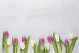 Fototapeta Tulipany - Spring greeting card, pastel color tulips on the gray background.