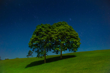 starry night sky at sri nan national park or doi sa mer dao tourist attraction at nan in thailand