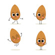 Almond nut. Cute cartoon vegan protein vector character set isolated on white