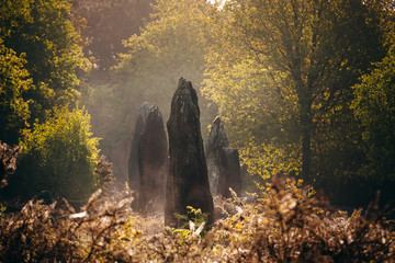 Menhirs de Monteneuf dans la brume du matin au lever du jour