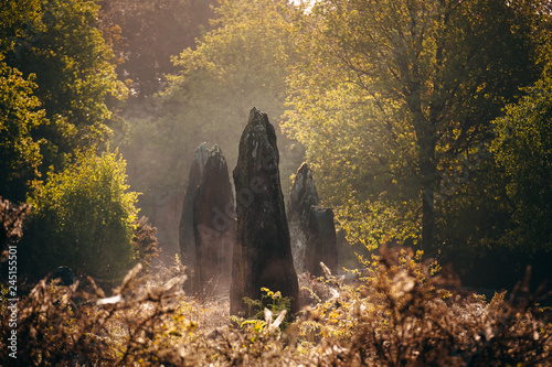 Fotografía Menhirs de Monteneuf dans la brume du matin au lever du jour