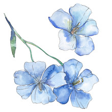 Blue Purple Flax. Floral Botanical Flower. Watercolor Background Illustration Set. Isolated Flax Illustration Element.