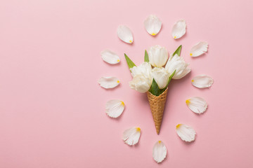 Wall Mural - Flat-lay waffle cone with white flower blossom