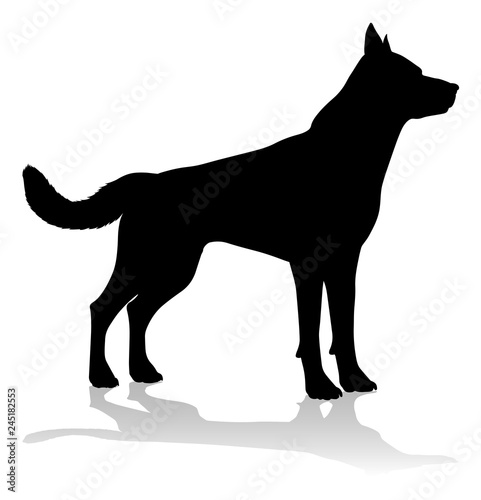 A detailed animal silhouett...