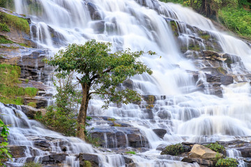  Tree on waterfall background, Mae Ya Waterfall, Doi Inthanon, Chiang Mai, Thailand