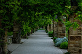 Fototapeta Miasto - dark garden pathway