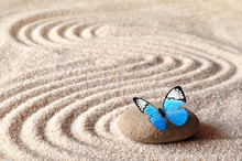 A Blue Vivid Butterfly On A Zen Stone With Circle Patterns In The Grain Sand.