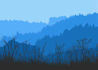 Fototapete - Vector illustration of a coniferous forest panorama