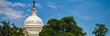 US Capitol 28 (Banner)