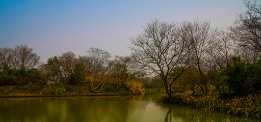 Poster - Captured in Hangzhou Xixi Wetland scenery