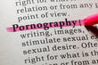 definition of pornography