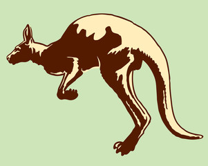 Wall Mural - Kangaroo vector sketch icon