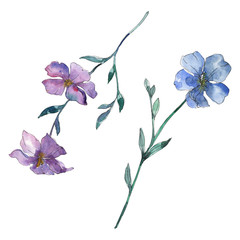 Wall Mural - Blue and purple flax floral botanical flower. Watercolor background set. Isolated flax illustration element.