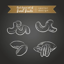 Cashew, Pecan. Set Of Fresh Fruits, Whole, Half And Bitten With Leaf. Vector Illustration. Isolated On Blackboard	