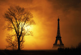 Fototapeta Boho - paesaggio nebbioso con la Torre Eiffel