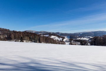 Winter wonderland background. Frosty sunny day in mountain spruce forest. Snowy trees and blue sky