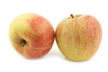 fresh Dutch cooking apples on a white background