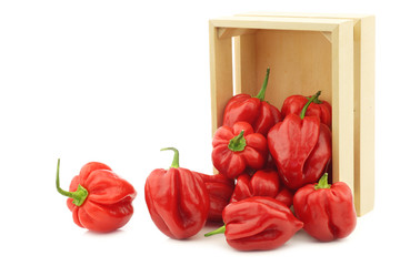 Wall Mural - spicy hot red habanero peppers in a wooden box on a white background