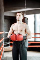 Wall Mural - Portrait of a strong boxer showing muscles during the training on the boxing ring at the gym