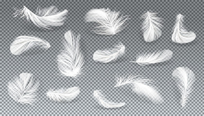 vector 3d realistic set of white bird or angel feathers in various shapes, isolated on transparent b