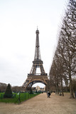 Fototapeta Boho - View at Eiffel Tower from the Champ de Mars (Field of Mars)