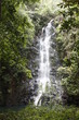 High narrow waterfall surround by trees, light coming from above