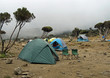 A misty Shira campsite on the Machame route to the top of Kilimanjaro, with some tents, chairs and a few trees 