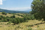Fototapeta Sawanna - Summer Landscape of Ograzhden Mountain, Blagoevgrad Region, Bulgaria