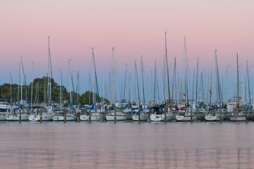 Fototapete - Sailboats at sunset at the South Yacht Basin of St. Petersburg, Florida
