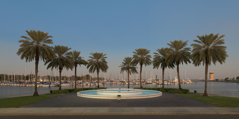 Fototapete - Palm trees surround fountain at the South Yacht Basin of St. Petersburg, Florida at twilight