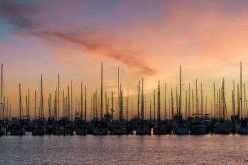Fototapete - Sailboats in the South Yacht Basin of St. Petersburg, Florida at sunrise