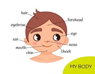 Wall Mural - Educational material for children My body. My face.  Illustration of a cartoon boy.