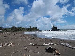 beach and sea