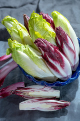 Group of fresh green Belgian endive or chicory and red Radicchio vegetables, also known as witlof salade