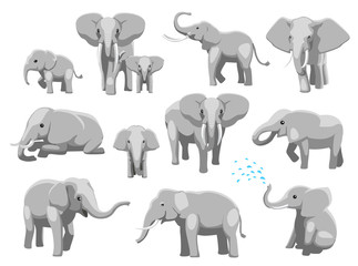 various elephant poses cartoon vector illustration