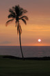 Hawaiian Sunset 3