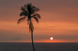 Hawaiian Sunset 1