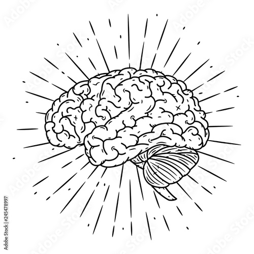 Brain Hand Drawn Vector Illustration With Brain And Divergent