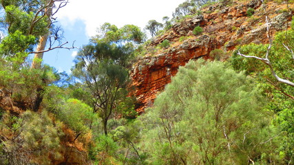 Canvas Print - Morialta Conservation Park in Adelaide