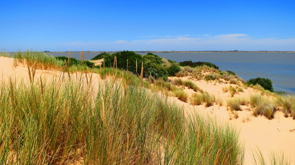 Poster - coorong national park, australia