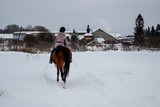 Fototapeta  - girl riding a horse on a winter walk