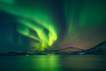 magical boreal aurora illuminates the sky