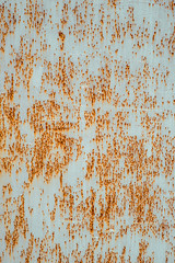 Wall Mural - Texture of old rusty metal, painted white which became orange dots from rust. Vertical texture of cracked paint on rusty steel