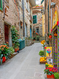 Fototapeta Na drzwi - Beautiful alley in Liguria, Old town Vernazza, Italy, Europe