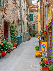 Fototapete - Beautiful alley in Liguria, Old town Vernazza, Italy, Europe