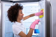 Woman Cleaning Refrigerator Door With Spray Detergent