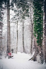 Wall Mural - Schneegestöber