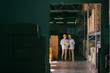 © dusanpetkovic1 - Two workers with helmets on heads walking in warehouse. All around shelves and boxes.