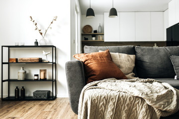 modern nordic scandinavian interior design. bright open space living room with comfortable couch, kn