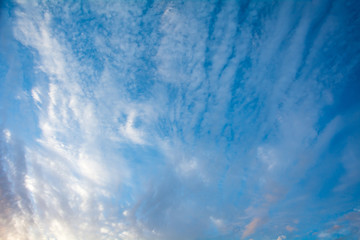 Wall Mural - blue sky with clouds